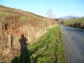 Towards Setmurthy Forest, near Cockermouth