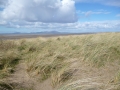 Allonby