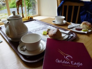 The only Golden Eagle we see - at the Haweswater Hotel